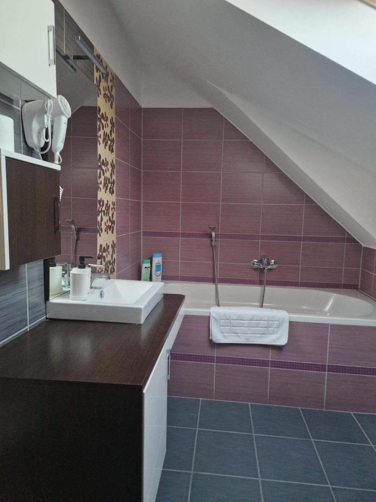 Nefelejcs Vendeghaz Guest house *